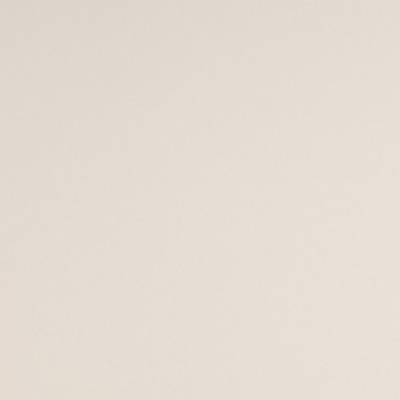 S5GPEB - Gris Perle Clair Brillant 2